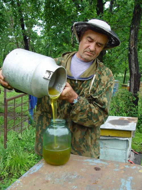 Самый лучший мед - липовый из Приамурья. Фото Сергея Балбашова.