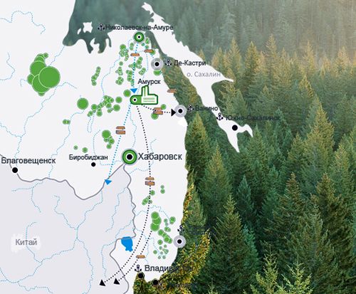 Арендуемые холдингом RFP Group лесные массивы, в структуру которого входит Группа компаний «Дальлеспром», созданная в 2005 году на базе активов ОАО «Дальлеспром».