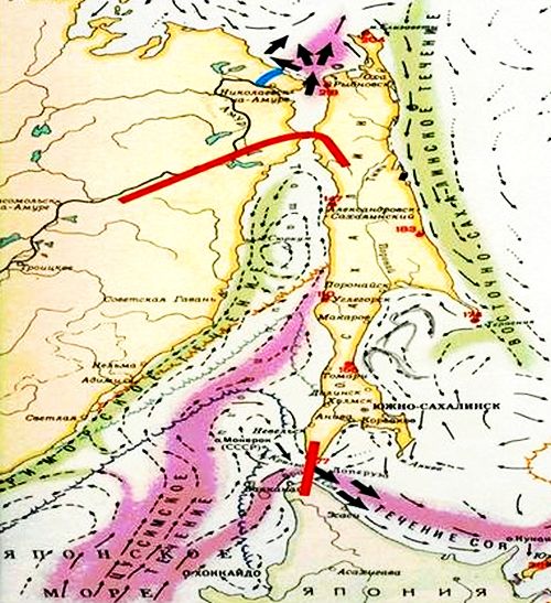 Схема переноса русла Амура (синим цветом) и строительства дамбы (красным цветом)