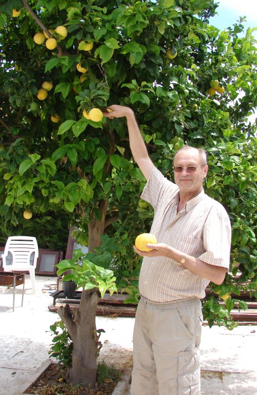 Юрий Наумов в своем лимонном саду