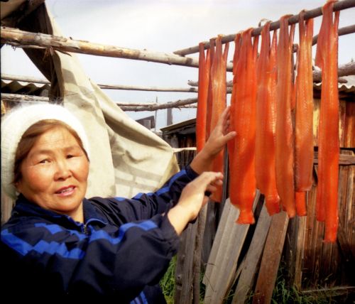 Хабаровчан спасает кета. Фото Сергея Балбашова