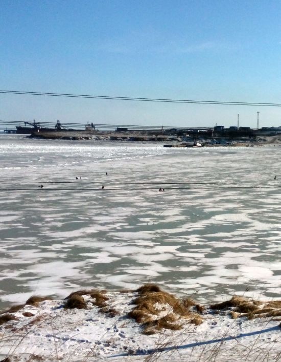 Как пояснили экологи в Ванино, порту нужно 2-3 года для нормализации обстановки и 4-5 лет для полного исключения запыления углем