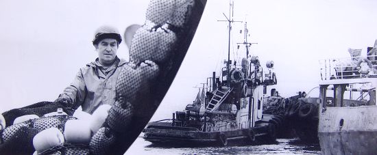 Фото Сергея Балбашова.