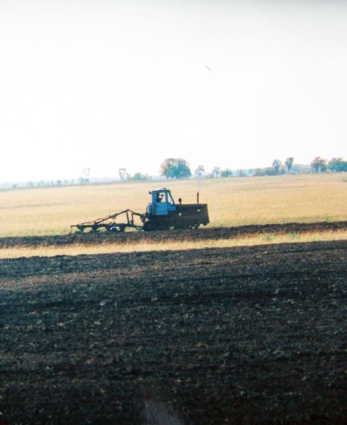 Кто сможет на Дальнем Востоке в одиночку поднять зябь? Фото Сергея Балбашова.