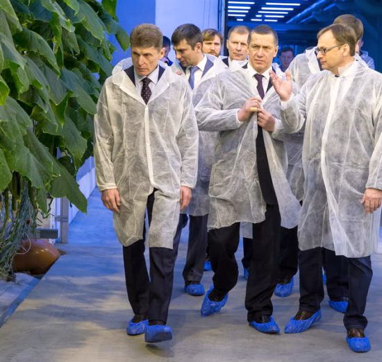 Губернатор Сахалинской области Олег Кожемяко и полпред в ДФО Юрий Трутнев осмотрели урожай огурцов