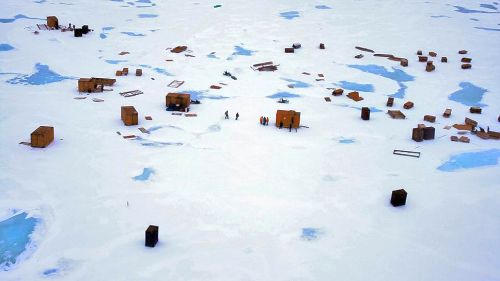 На острове Врангеля. Фото: Василий Максимов / Коммерсантъ