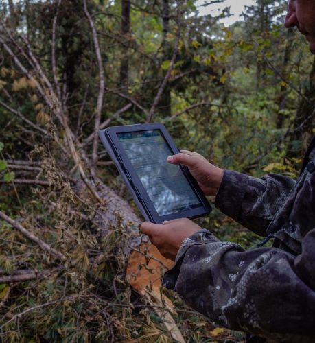 Система КЕДР доступна с помощью мобильного приолжения. Фото Дмитрия Сычикова, WWF России