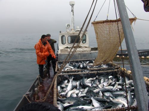 Фото Сергея Балбашова.
