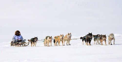 Гонка «Надежда-2018»