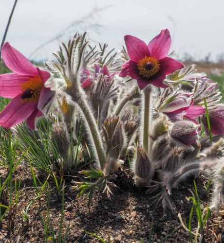 В хэппи-энд мало кто верил. Фото Дмитрия Ханко