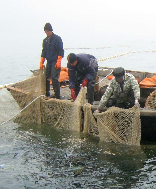 Фото Сергея Балбашова