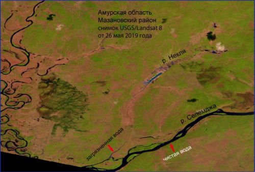 Благодаря компьютерной обработке вода, загрязненная взвешенными веществами (песком и глиной), обретает на космоснимке другой цвет, хорошо отличающийся от цвета чистой воды. Снимок предоставлен Амурским филиалом WWF России