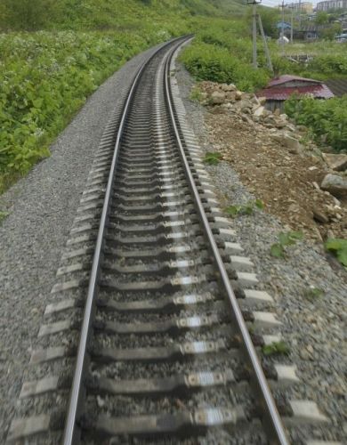 По этим перешитым общероссийским путям пойдут новые рельсовые автобусы. Фото автора