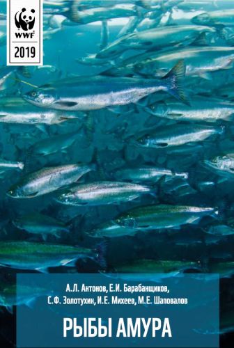 Сейчас найти издание, в котором полноценно описаны все виды обитающих в Амуре рыб практически невозможно. Перефото автора