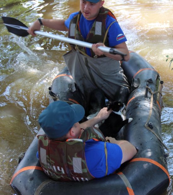 Котов спасли в МЧС на Большом Уссурийском острове