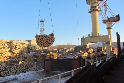 Оновной товар хабаровского экспорта - древесина. Фото пресс-службы Хабаровской таможни