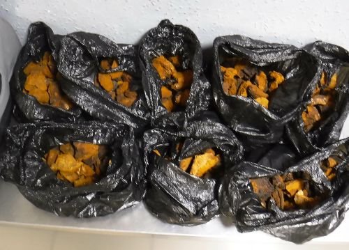 8 кг сушеных грибов гражданин Южной Кореи пытался вывезти в ноябре прошлого года. Фото автора 