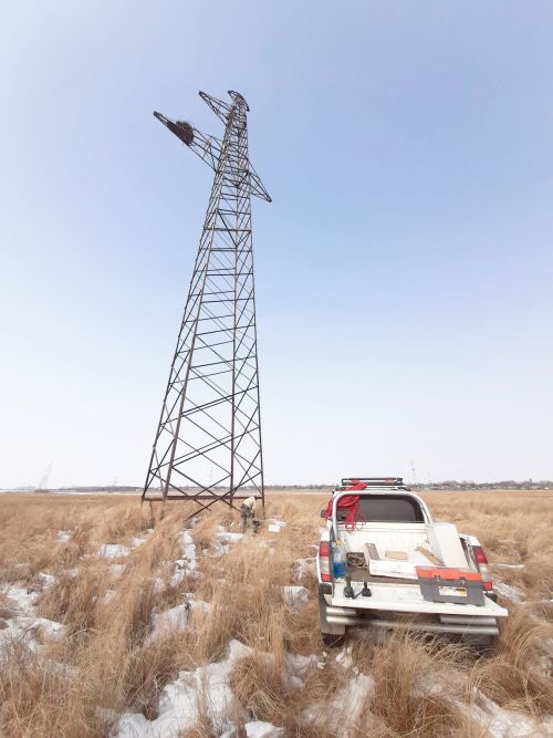 В Амурской области  стартует реалити-шоу «Дальневосточный аист онлайн. Третий сезон»