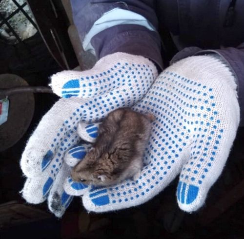 Спасение рядового «хомяка-танкиста» провели специалисты МЧС в Магадане