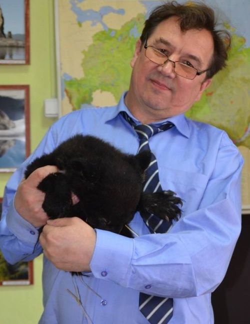 Владимир Андронов