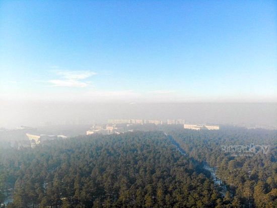 Участок, попадающий под застройку, в дали виднеется краевой перинатальный центр. Фото: Ксения Зимина.