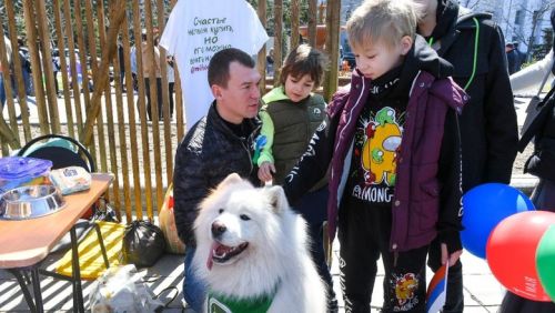 Фото: телеграм-канал «Пулемет Дегтярева»