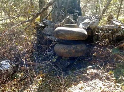 Последствия крушения самолета Ан-26 под Хабаровском, 2021 год. Фото: пресс-служба ФГБУ «Заповедное Приамурье».