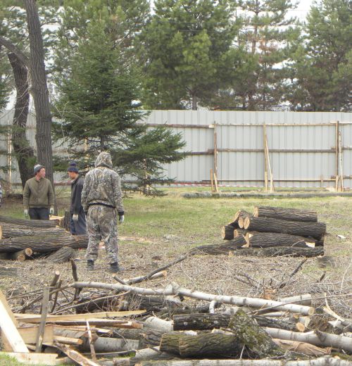 Та самая спиленная роща.