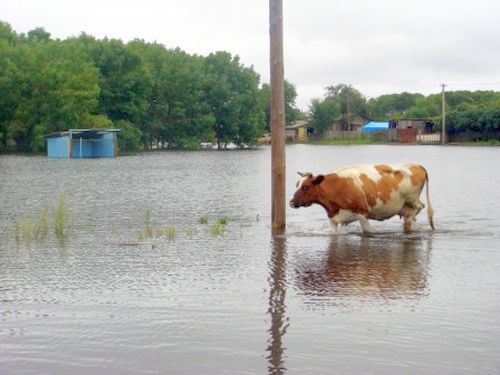 с. Головино, ЕАО