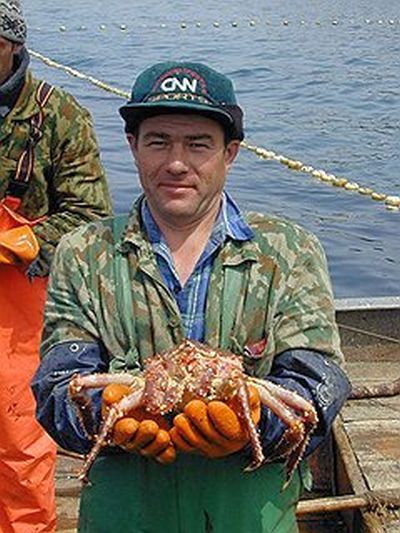 В борьбу предпринимателей за квоты на вылов краба все активнее вовлекаются госорганы. Фото: Александр Маслянко /  Коммерсантъ