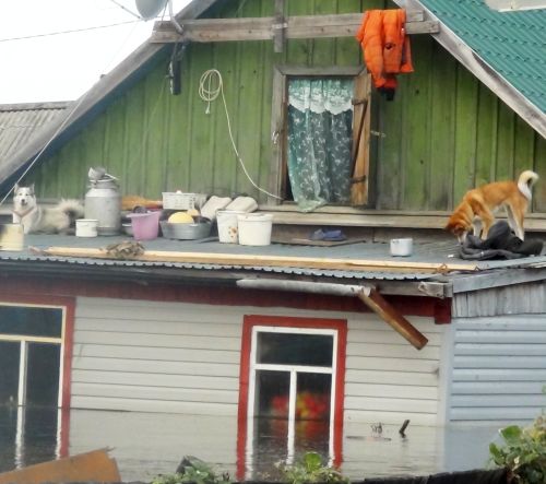 Так спасались от наводнения