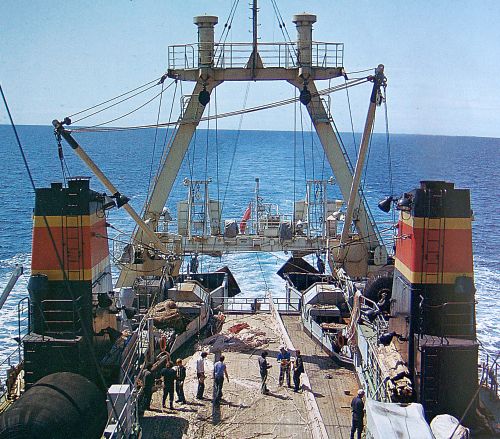 Где комплексы по рыбопереработке?