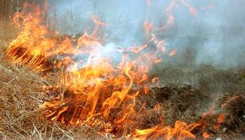 Скоро запылает!