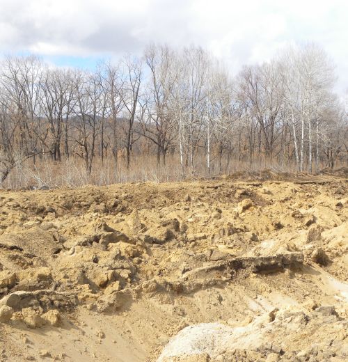 Так унитожают рекреационные зоны в Биробиджане