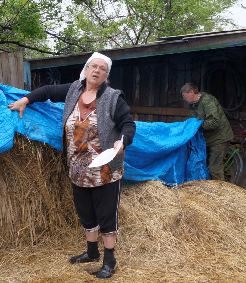 Это сено семья Галины Бебишевой заготавливала сама.