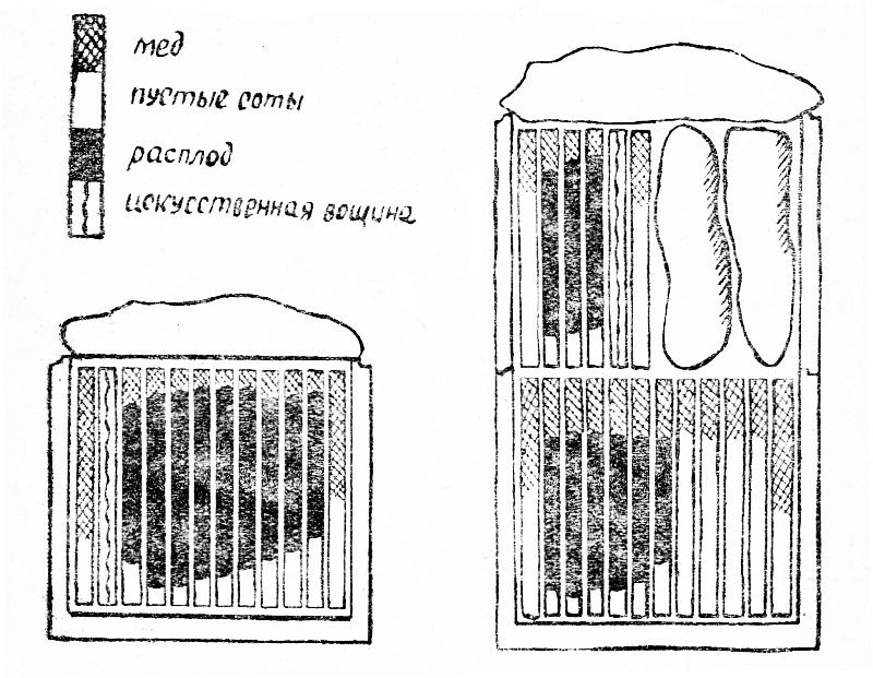 Гнезда пчел: слева - перед постановкой второго корпуса, справа - после постановки второго корпуса.