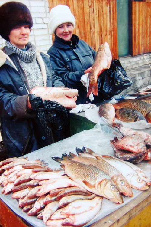 Можно ли есть такую рыбу? Фото Сергея Балбашова.