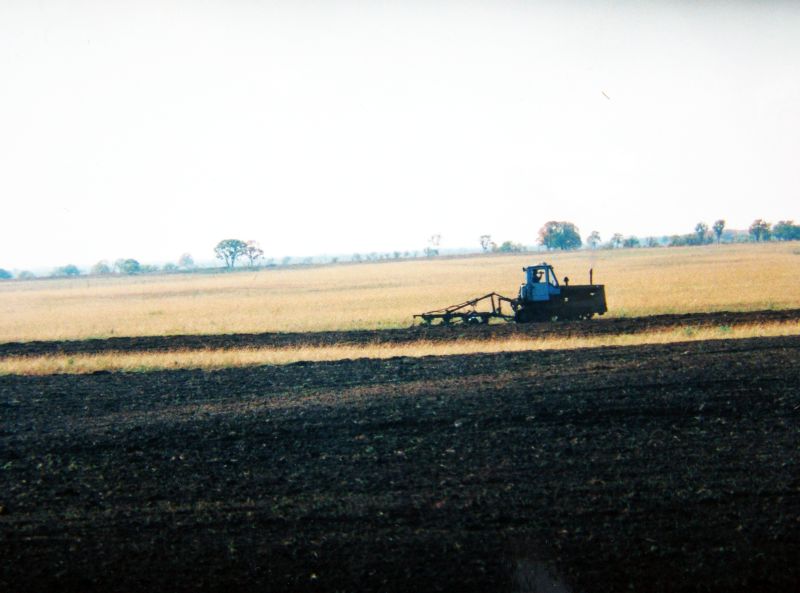 Поднятие зяби. Фото Сергея Балбашова