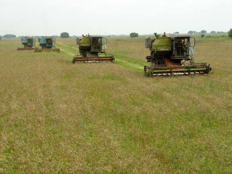 Теперь уже не наши луга. Фото Сергея Балбашова.