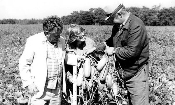 Академик Григорий Казьмин (слева) любил выезжать в июле с Ольгой Мигиной ( в центре) на поля