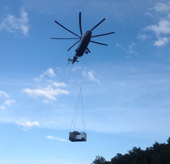 ...И увезли на вертолете от наводнения.