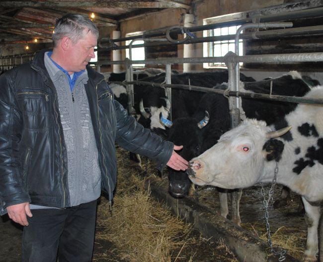 Олег Королёв прощается с Туфельками, Ласками, Осинками…