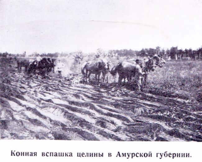 Конная вспашка целины в Амурской губернии. 1924 г./Нажмите, чтобы УВЕЛИЧИТЬ. (нажмите, чтобы увеличить)