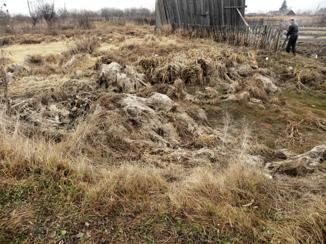 ... И вот что стало с огородами в Биракане к осени