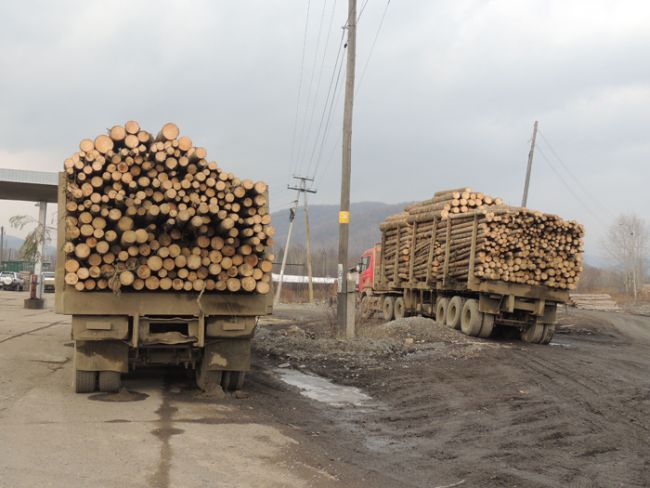 Остановка. Забастовка.