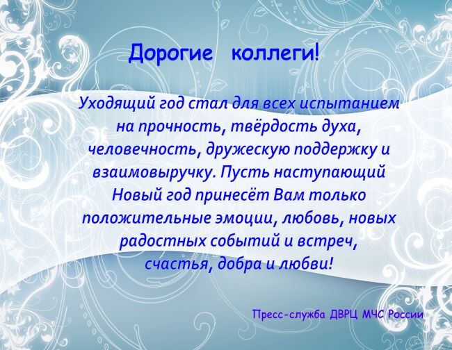 Пресс-служба Дальневосточного регионального центра МЧС России