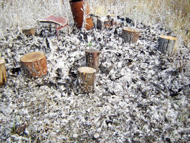 Здесь гусей драли. Фото Владимира Андронова.