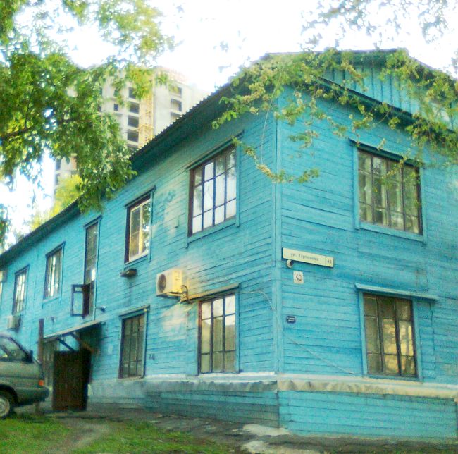 Дом №43 по ул. Тургенева на фоне строящейся высотки «Амурских зорь».