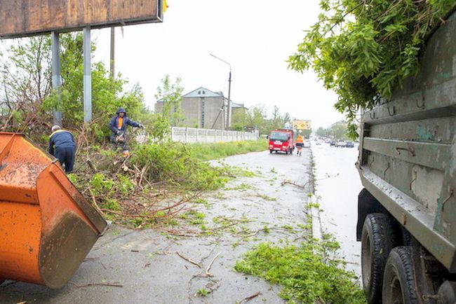 Ураган в Южно-Сахалинске повалил деревья