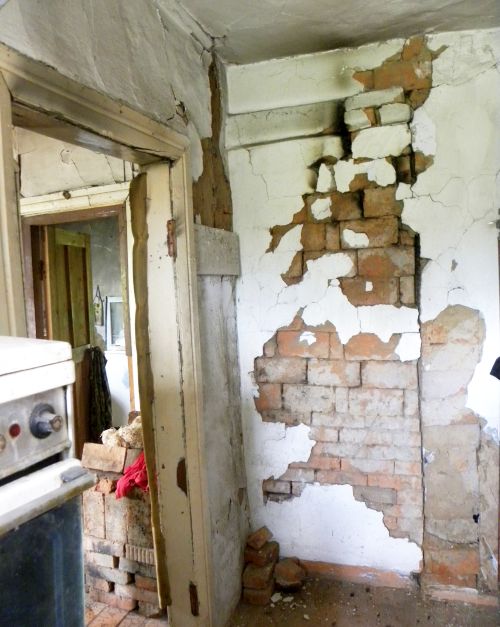 Стены пропитались влагой от фундамента до самой крыши, которая от сырости просто прогнулась внутрь, штукатурка стала отваливаться большими кусками